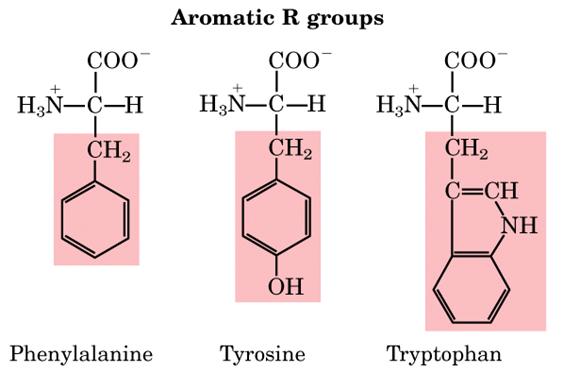 Aromatic amino acids Analysis Service