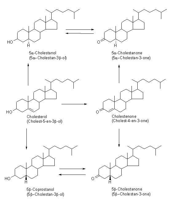Cholestanol Analysis Service