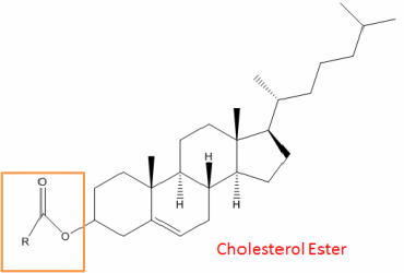 Cholesterol Ester Analysis Service