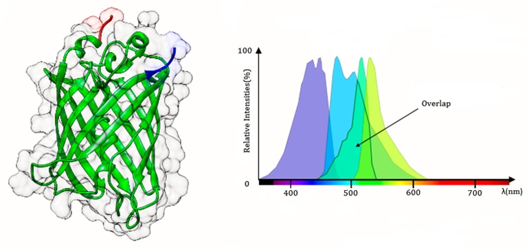 Fluorescence Spectroscopy based Analysis Service