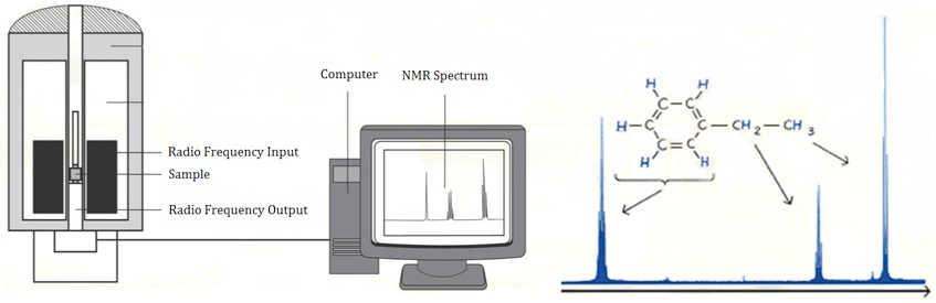 NMR based Analysis Service