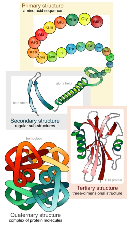 Protein Structure Analysis Service