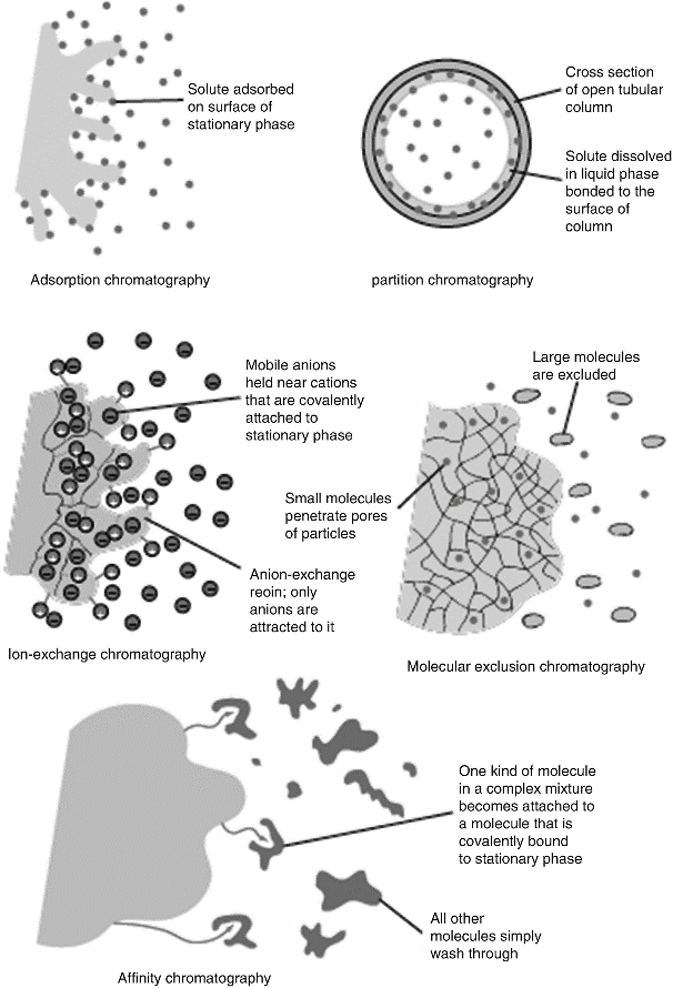 Four Chromatographic Separation Techniques