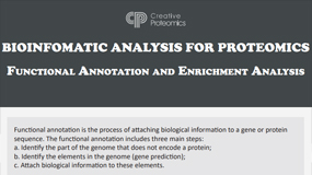 Bioinformatic Analysis for Proteomics Functional Annotation and Enrichment Analysis