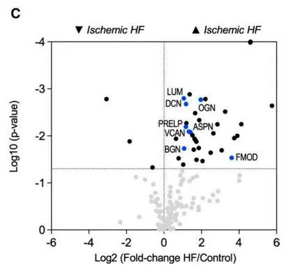 Volcano plot for the proteomics comparison between control (n=6) and nonischemic HF (n=10) patients (GuHCl extracts)