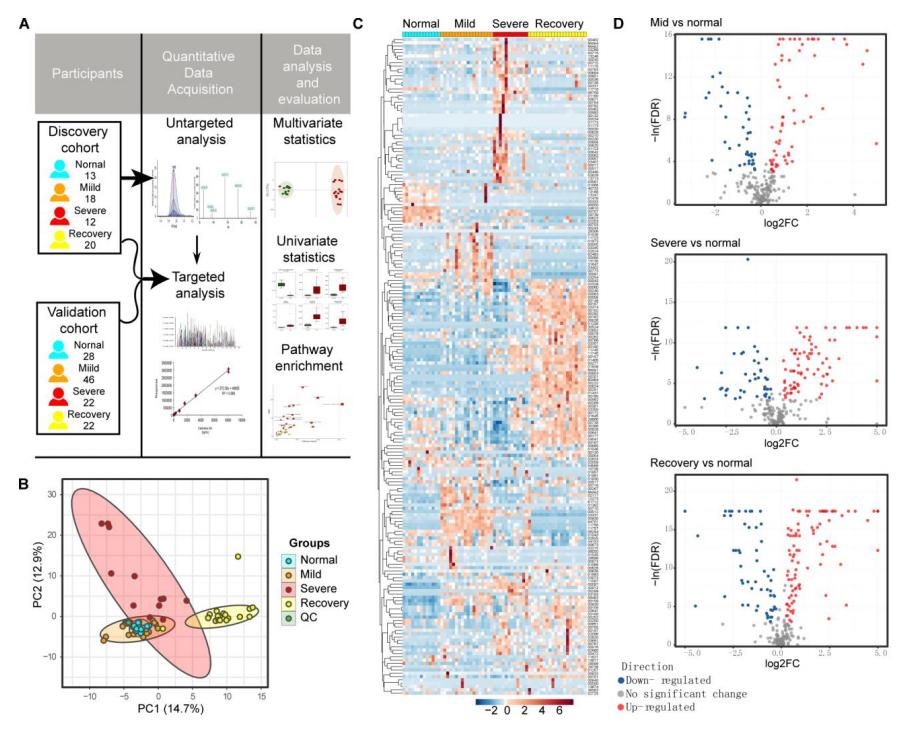 Figure 1. Serum untargeted metabolomic analysis of all COVID-19 developmental stage patients in the discovery cohort. (A) Study design; (B) principal component analysis (PCA) of four sets of non-targeted metabolomics; (C) heat map of 193 metabolites; (D) volcano map