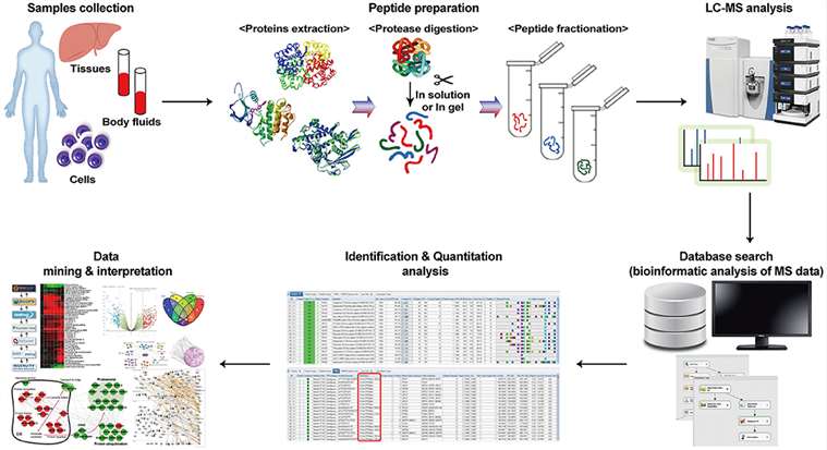 Application of Proteomics in Cancer Research