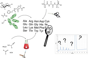 Applications of Amino Acid Analysis in Pharmaceutical Research