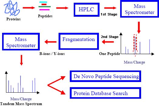 Applications of Peptide Sequencing in Biomedicine, Agriculture, and Biotech