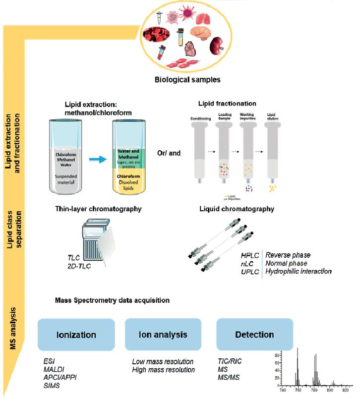 Biological Sample Pretreatment for Lipid Analysis