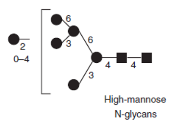 Glycosylation Analysis Service