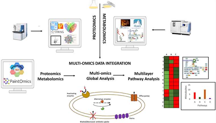 Integrating Proteome and Metabolome Analysis in Diverse Biological Contexts