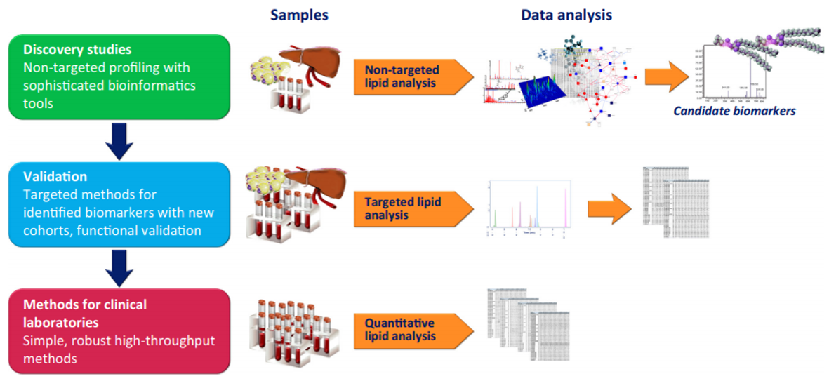  Analytical Workflows in Lipidomics