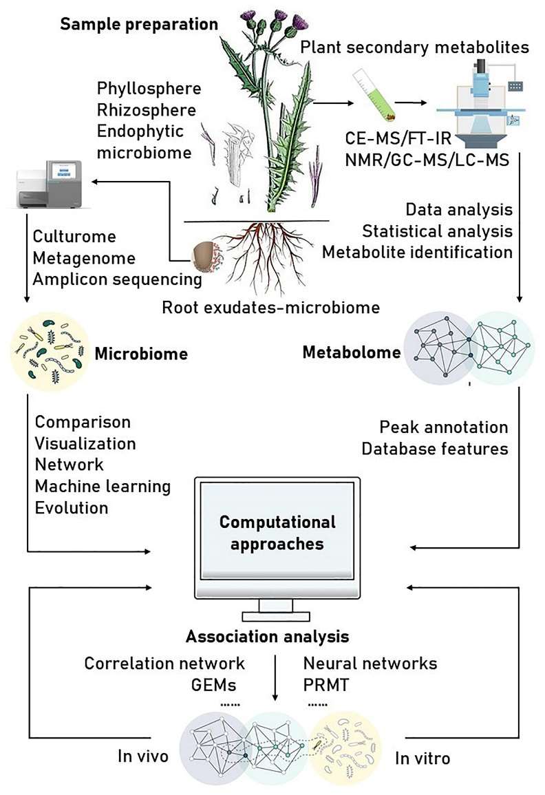Metabolomics Applications in Studying Plant Secondary Metabolites