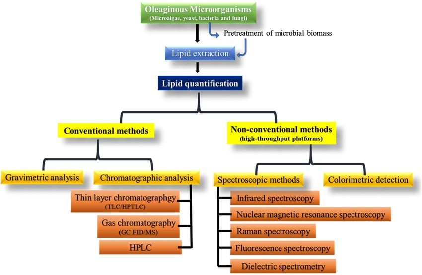 Natural Lipids Analysis: Unlocking the Secrets of Biological Lipids