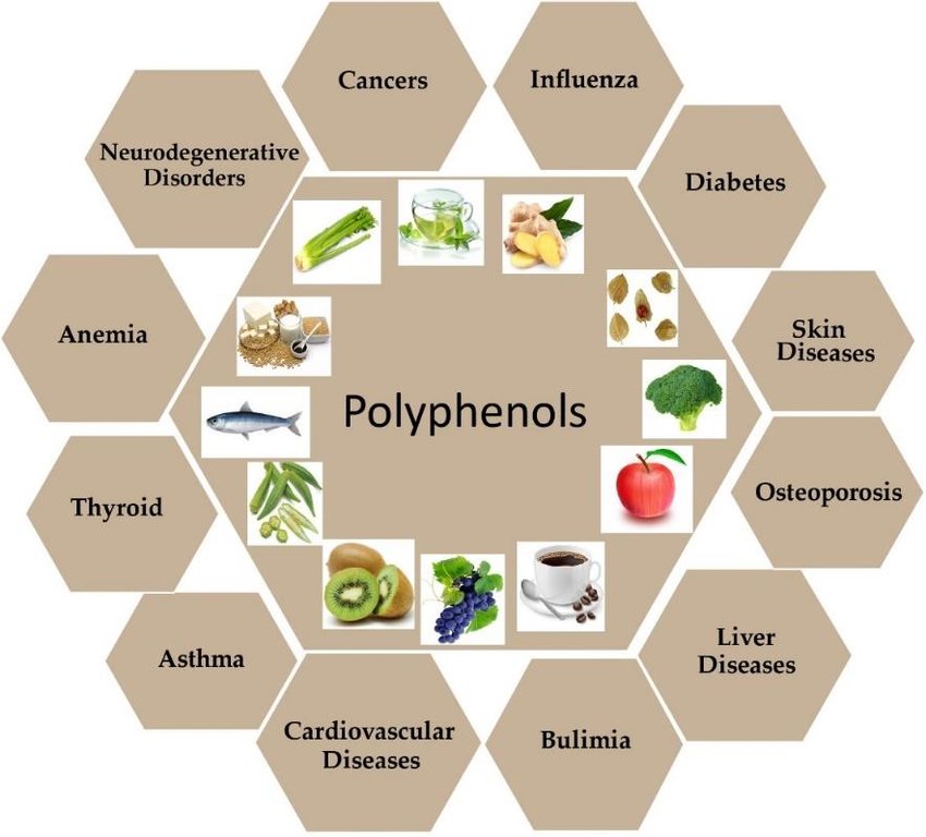 Polyphenols: Exploring Health Benefits and Beauty Applications