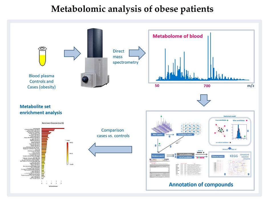 Principles of Metabolomic Mass Spectrometry Identification