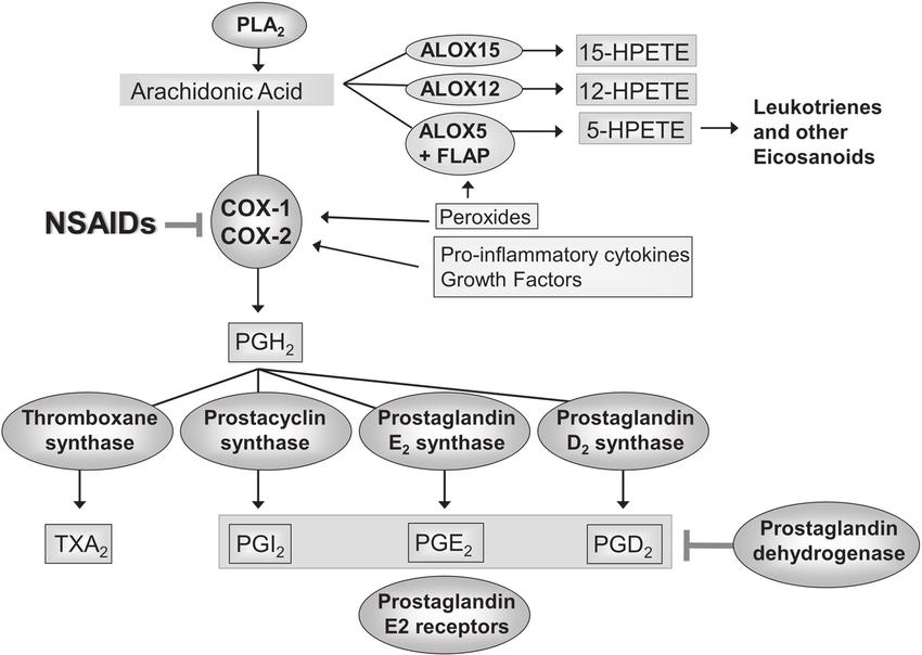 Prostaglandins: Structure, Functions, and Analytical Methods