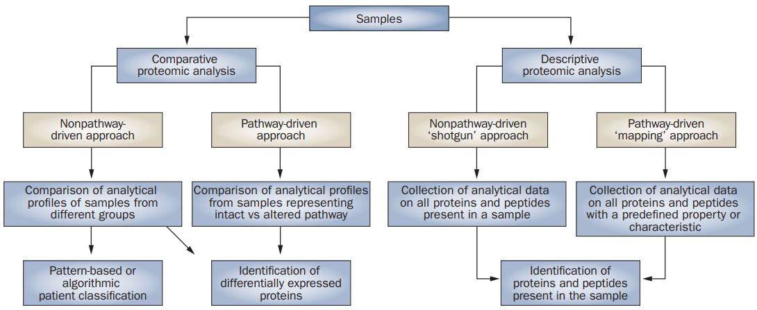 Proteomics Applications in Renal Diseases