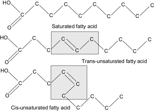 Saturated Fatty Acids: Analysis, Health Implications, and Sources
