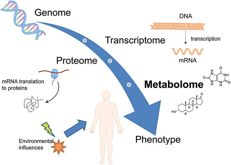 What is Metabolomics