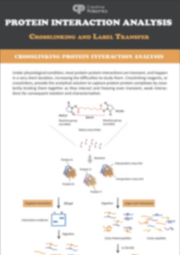 Label Transfer & Crosslinking Protein Interaction Analysis