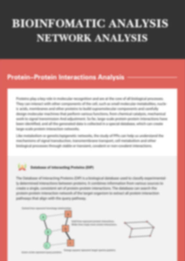 Bioinformatics Analysis Network Analysis