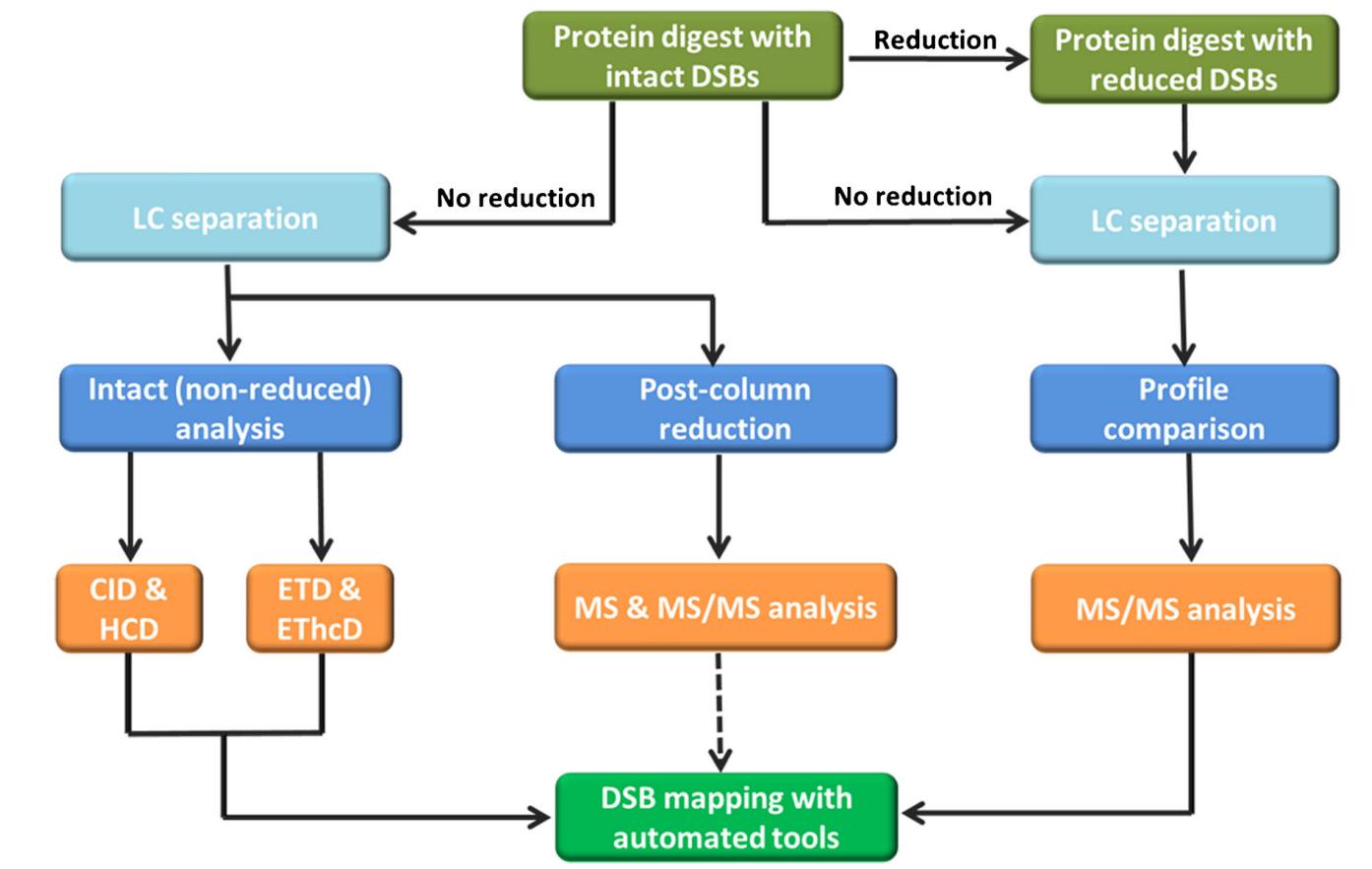 Fig. 2 Bottom-up approaches for disulfide bond (DSB) analysis.