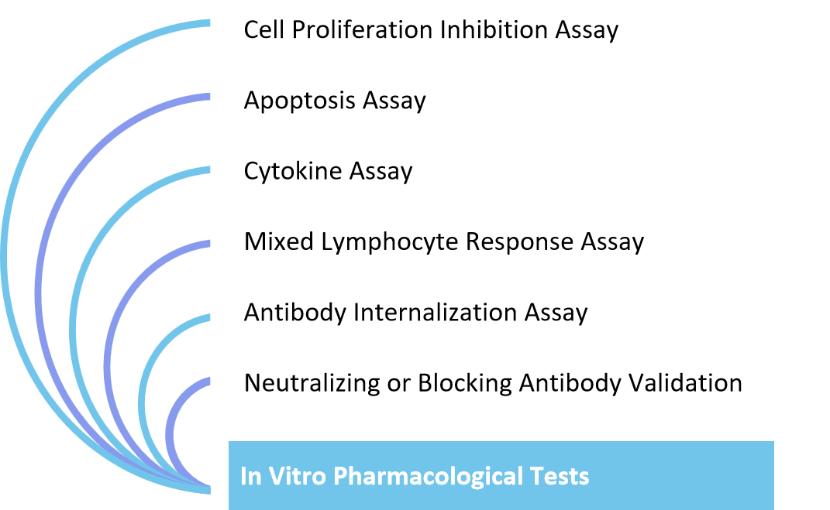 In Vitro Pharmacological Tests