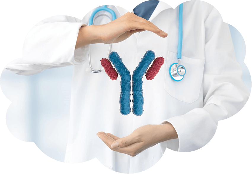 Accelerate the development and launch of your antibody drugs