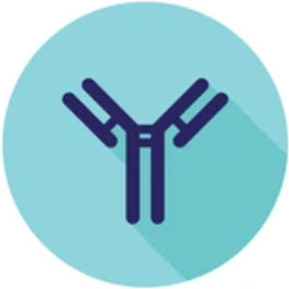 Structural & Physicochemical Characterization