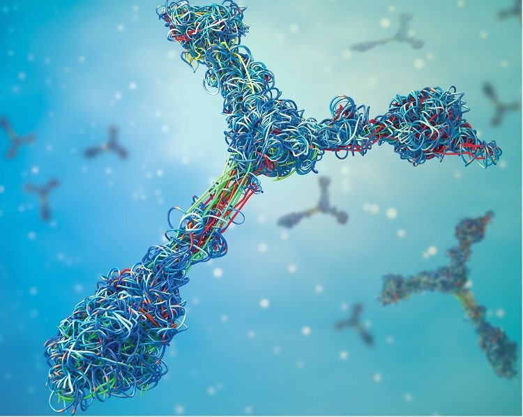 Charge Heterogeneity Analysis Service