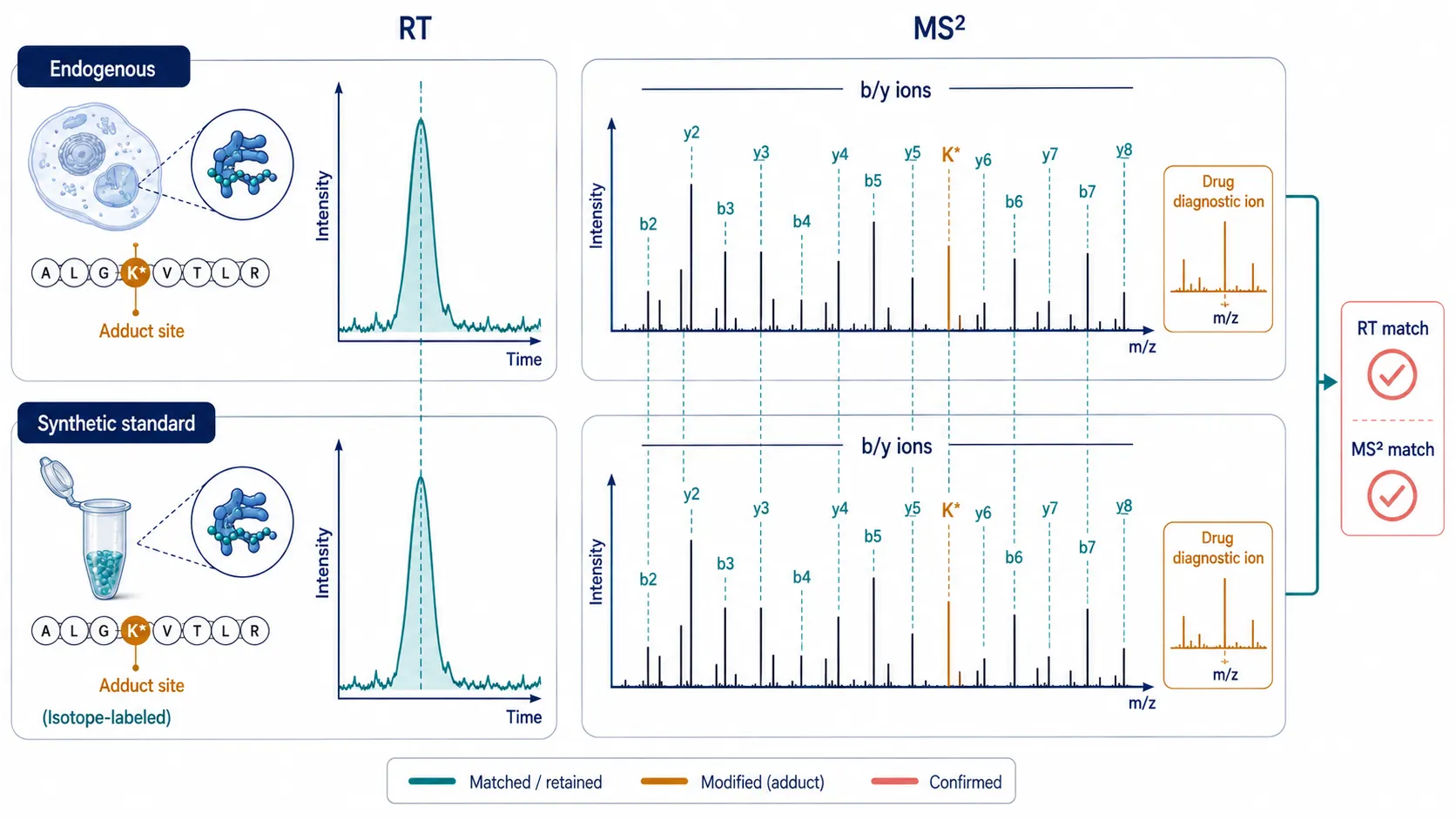 Decision matrix comparing standard immunopeptidomics, defined-adduct closed searches, open modification profiling, and synthetic-standard verification by search space, confidence, and appropriate discovery role.