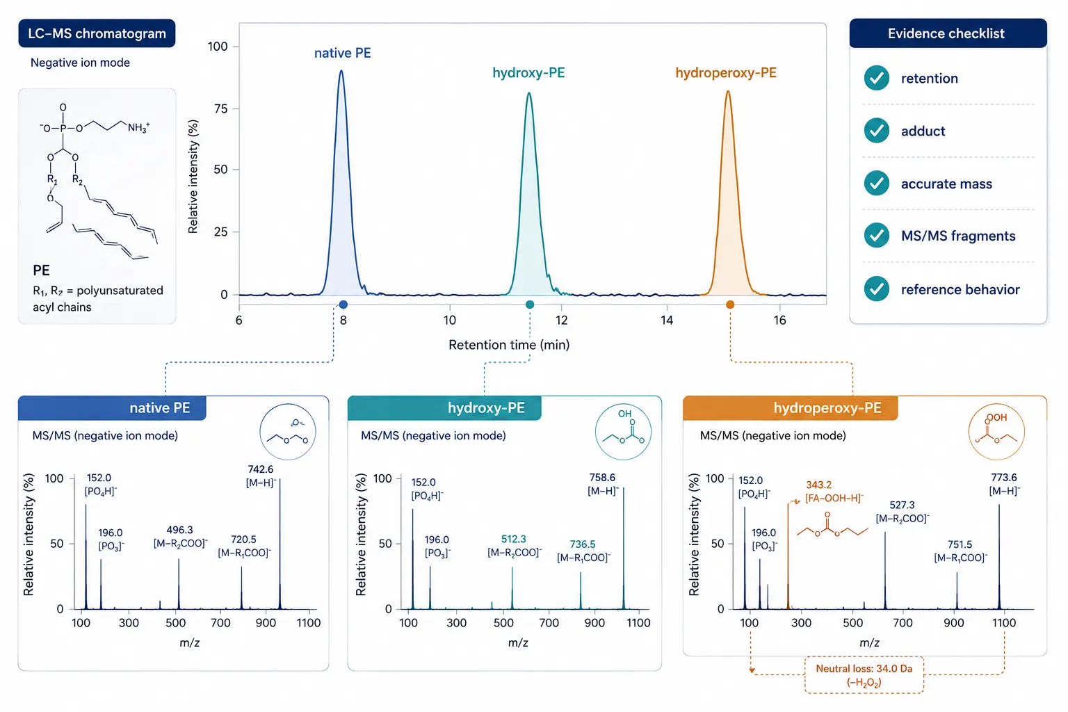 High-resolution LC-MS/MS schematic with a chromatographic trace resolving native PE, hydroxy-PE and hydroperoxy-PE peaks, then a negative-ion fragmentation spectrum annotated to show head-group, fatty-acyl and oxidation-informative product ions. Clean white background with restrained blue, teal and amber accents.