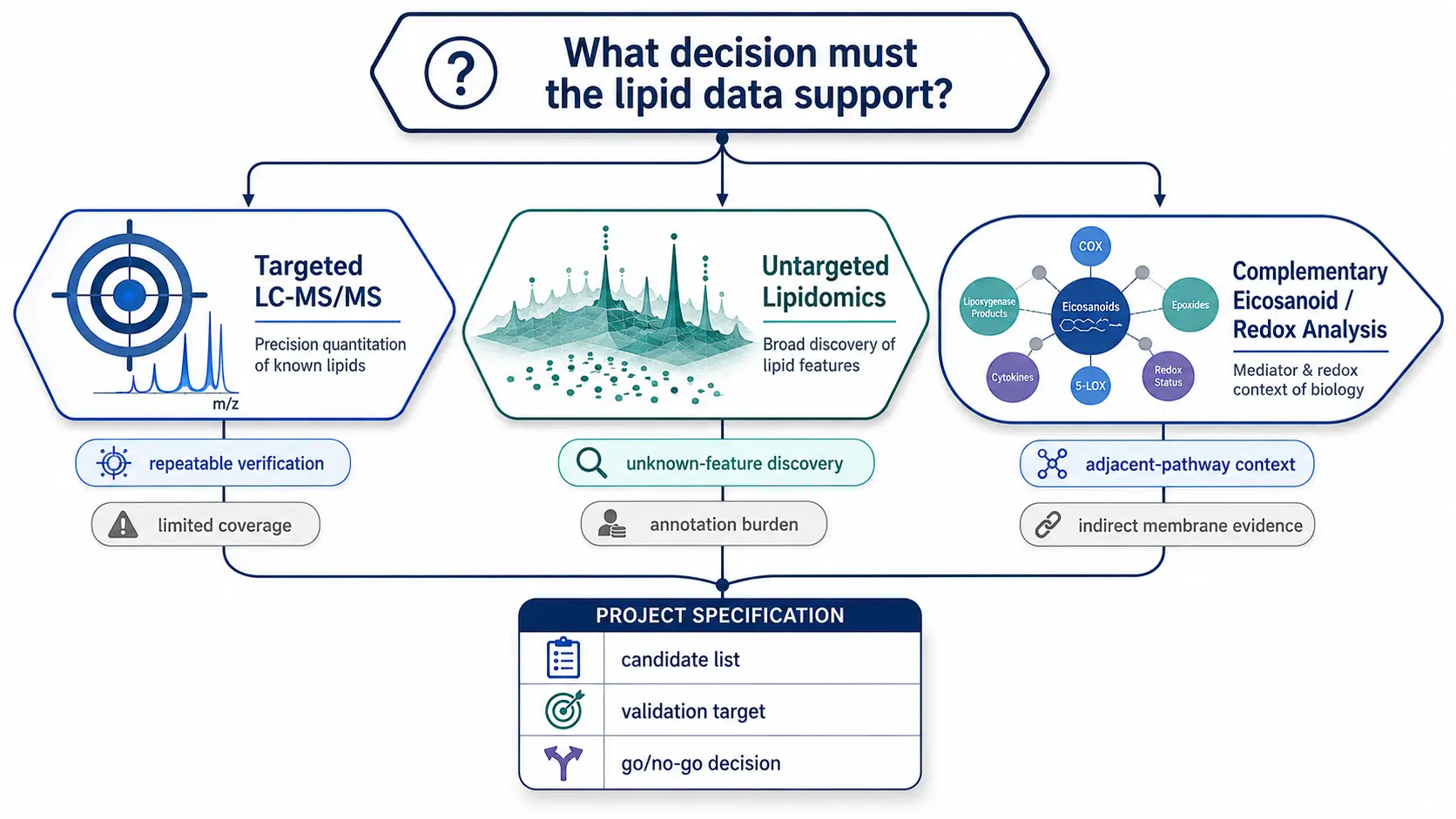 Decision graphic for oxidized lipidomics method selection. A central research question branches into targeted LC-MS/MS, untargeted discovery lipidomics, and complementary redox or eicosanoid analysis. Each branch lists the decision it supports, evidence depth, and main limitation without using a tabular layout.