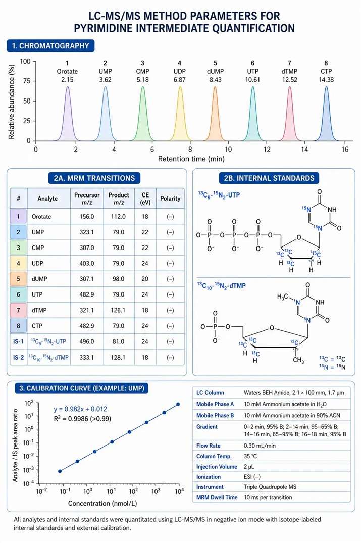 Figure 3: LC-MS/MS method parameters for pyrimidine intermediate quantification — MRM transitions, chromatography conditions, and internal standard strategy