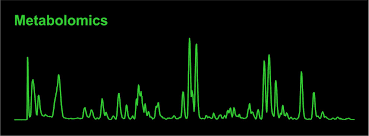 Name Some Questions Related to Metabolomics Filed