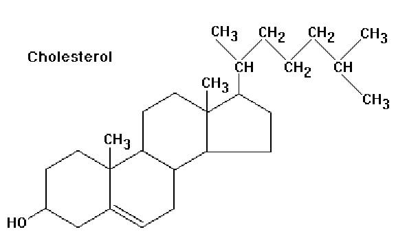 Cholesterol Ester Analysis Service,Lipidomics