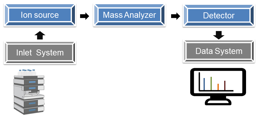 Several types of ion source