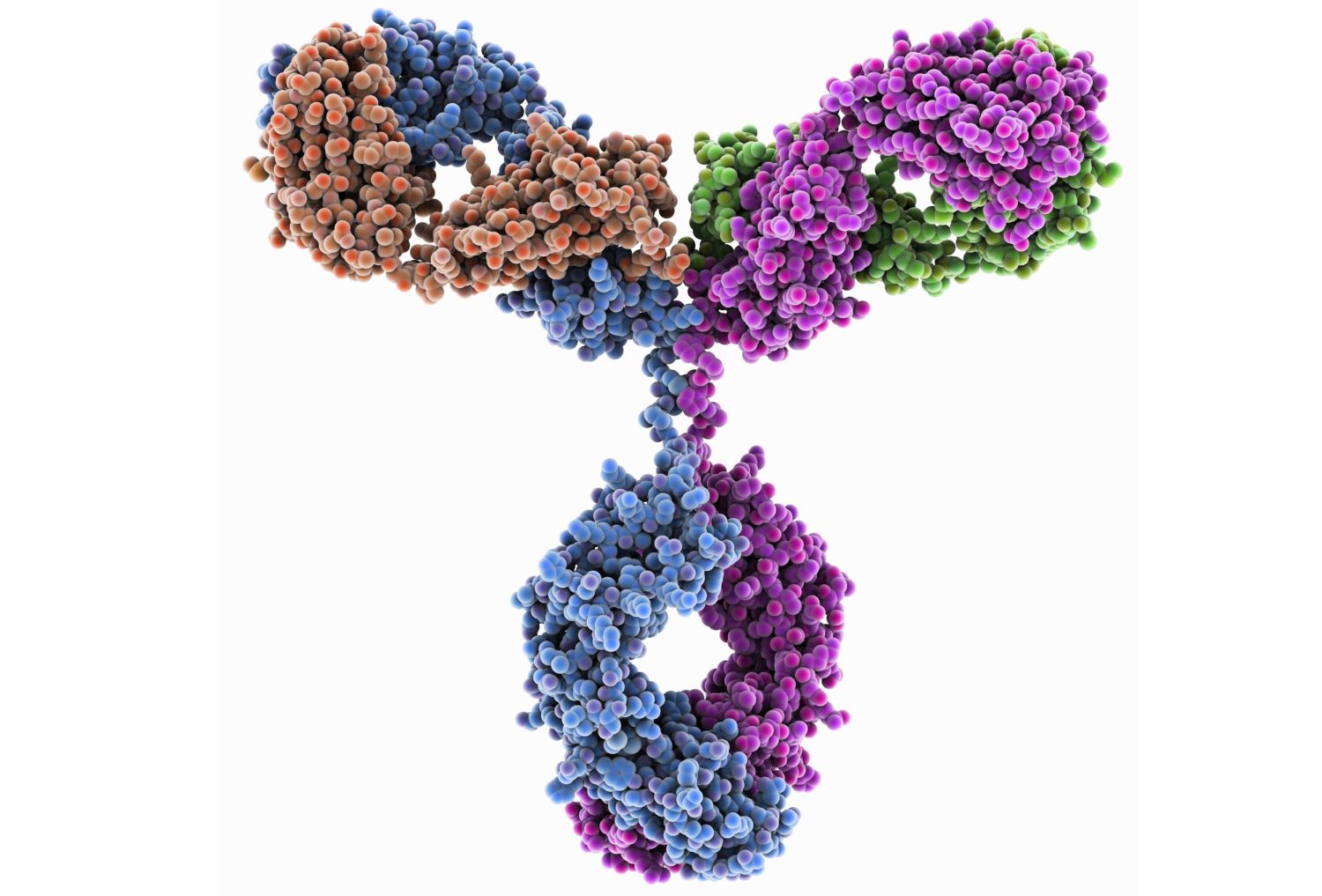 Bottom-up Proteomics and Top-down Proteomics