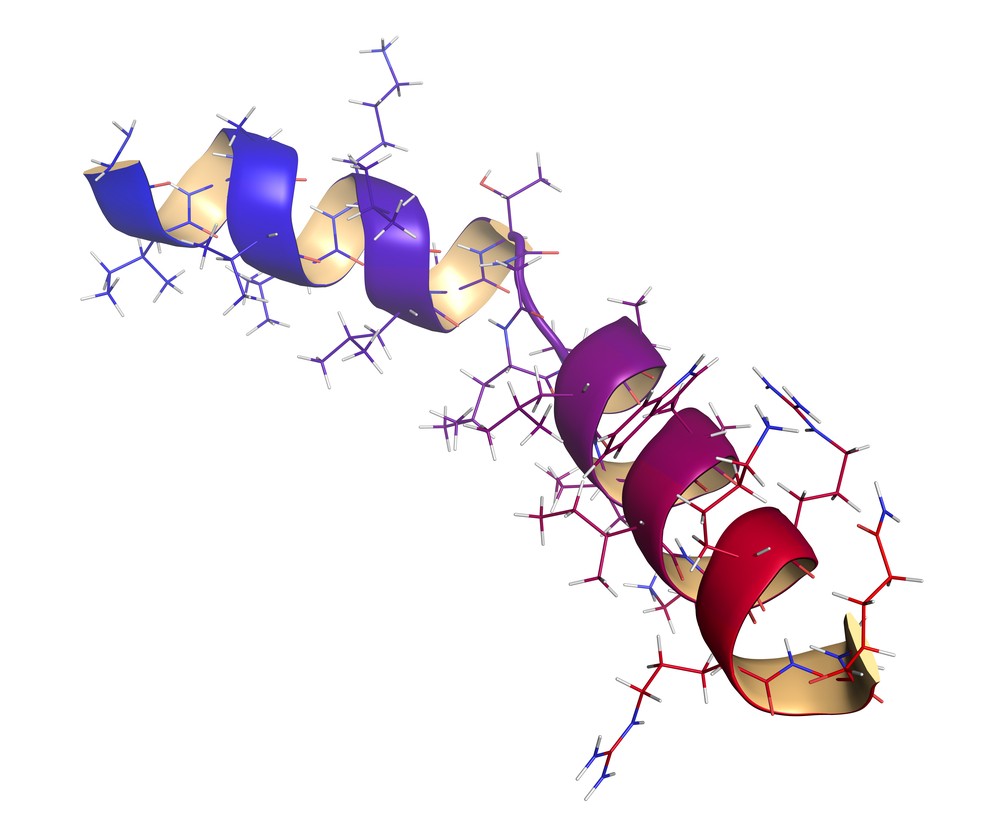 Brief Introduction of Peptidomics