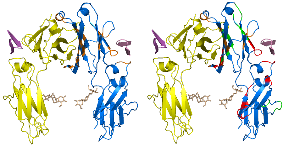 Brief Introduction of Protein-Protein Interaction (PPI)