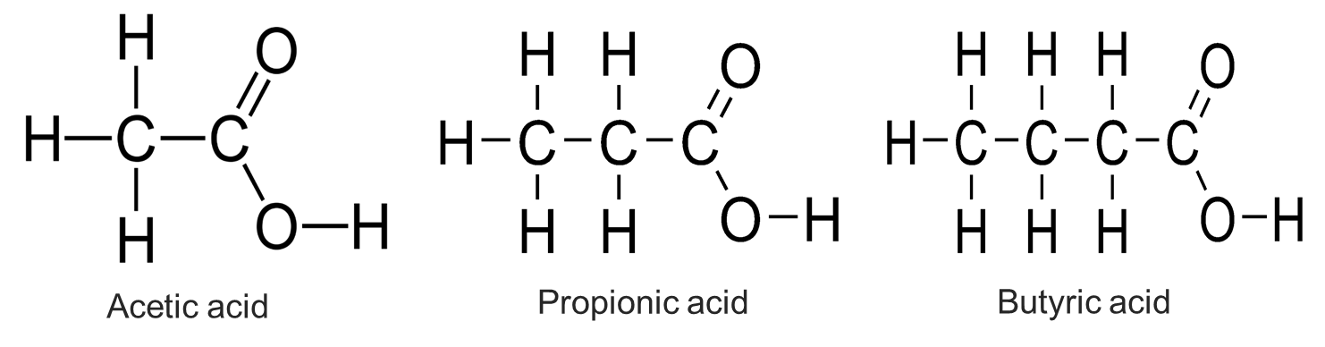 helyette kátrány gepárd short chain carboxylic acids Törvényen kívüli ...