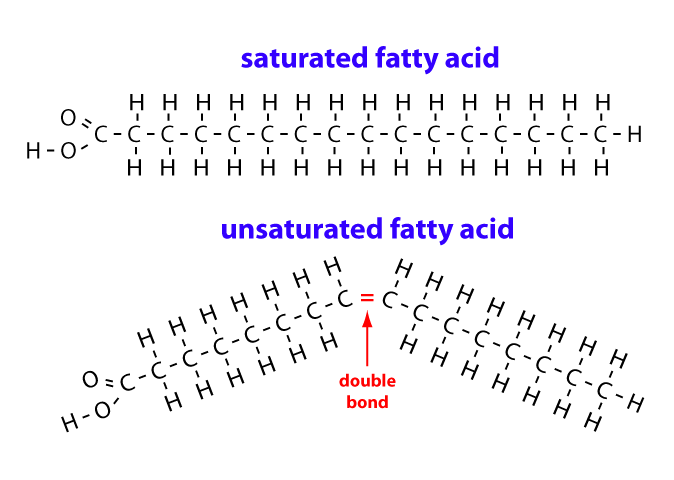 Fatty Acids: Types, Roles, and Analysis