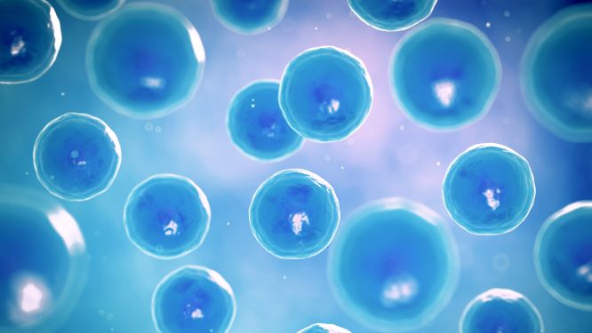 Stable Isotope Labeling Using Amino Acids in Cell Culture (SILAC): Principles, Workflow, and Applications