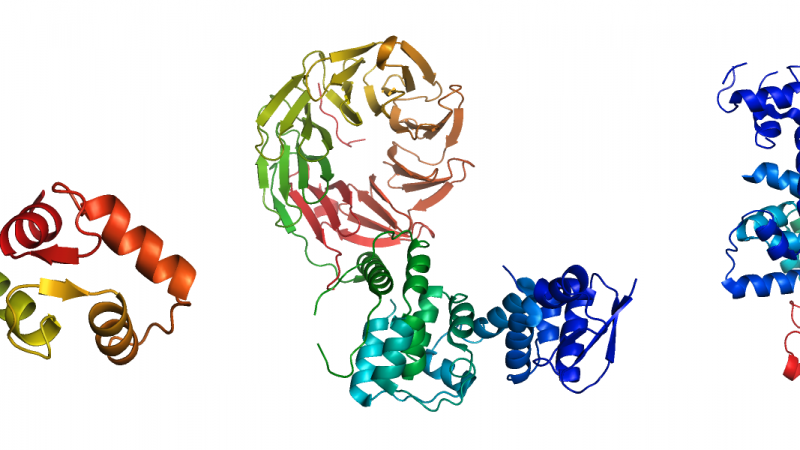 Proteomics Approaches to Studying Protein Relative Quantification