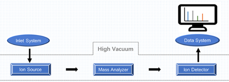 Mass Spectrometry Platform—A Brief Introduction to The Mass Spectrometer