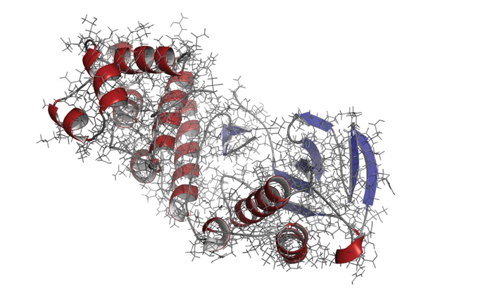 A Brief Introduction to Peptide Mapping