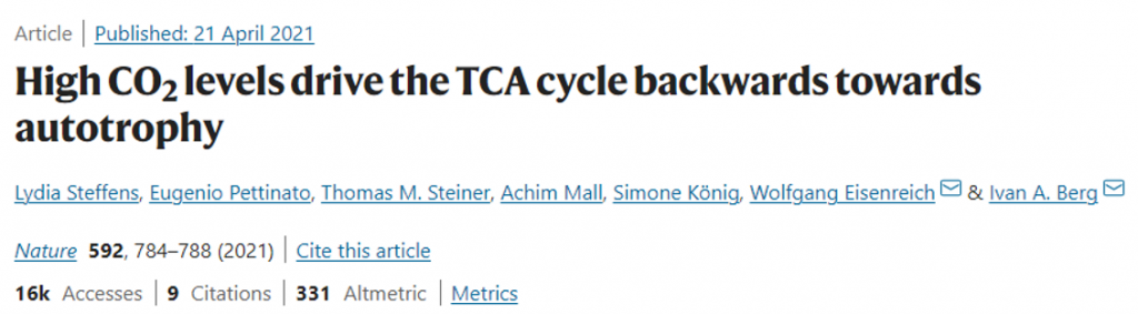 TCA Cycle