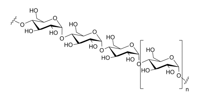 Types of polysaccharides